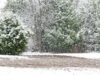 Little blizzard