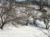 Overnight snowfall