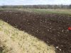 First seeding in May field