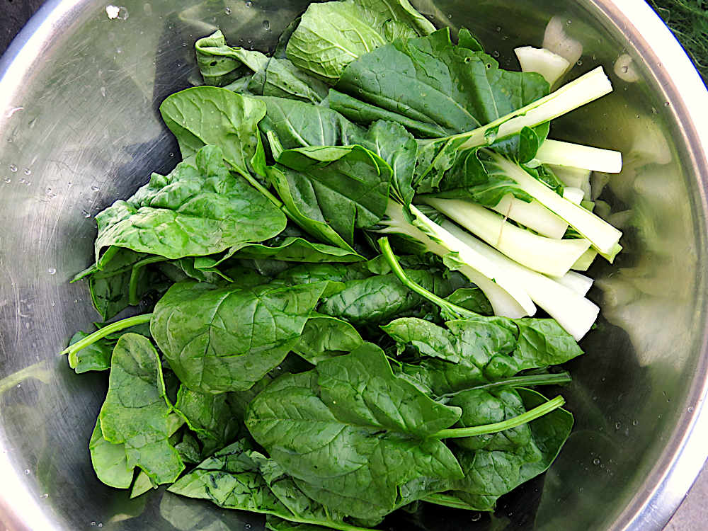 Spinach and bok choi