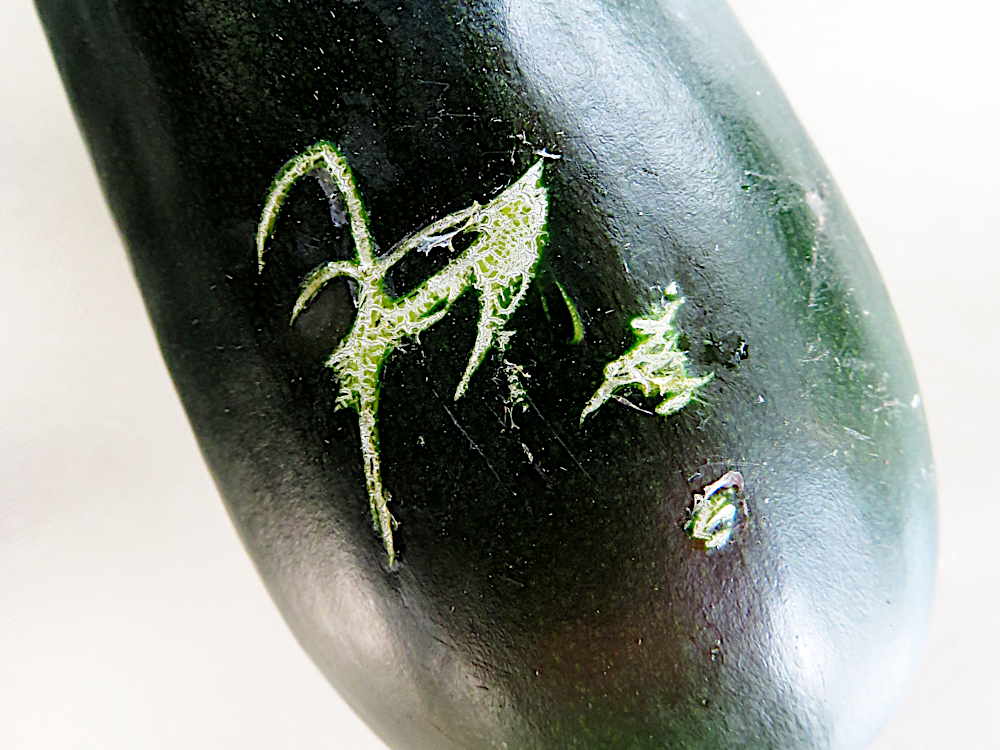 Scratch marks on zucchini