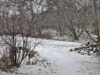 Somewhat snowy scene