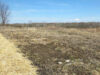 First view of the field for 2024