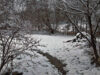 Wet snow landscape