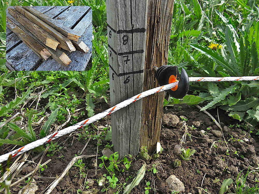 Electric fence for groundhogs