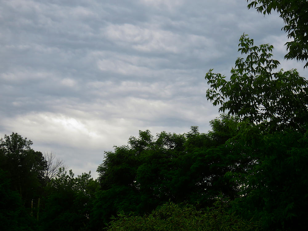 Another cloudy day in late June