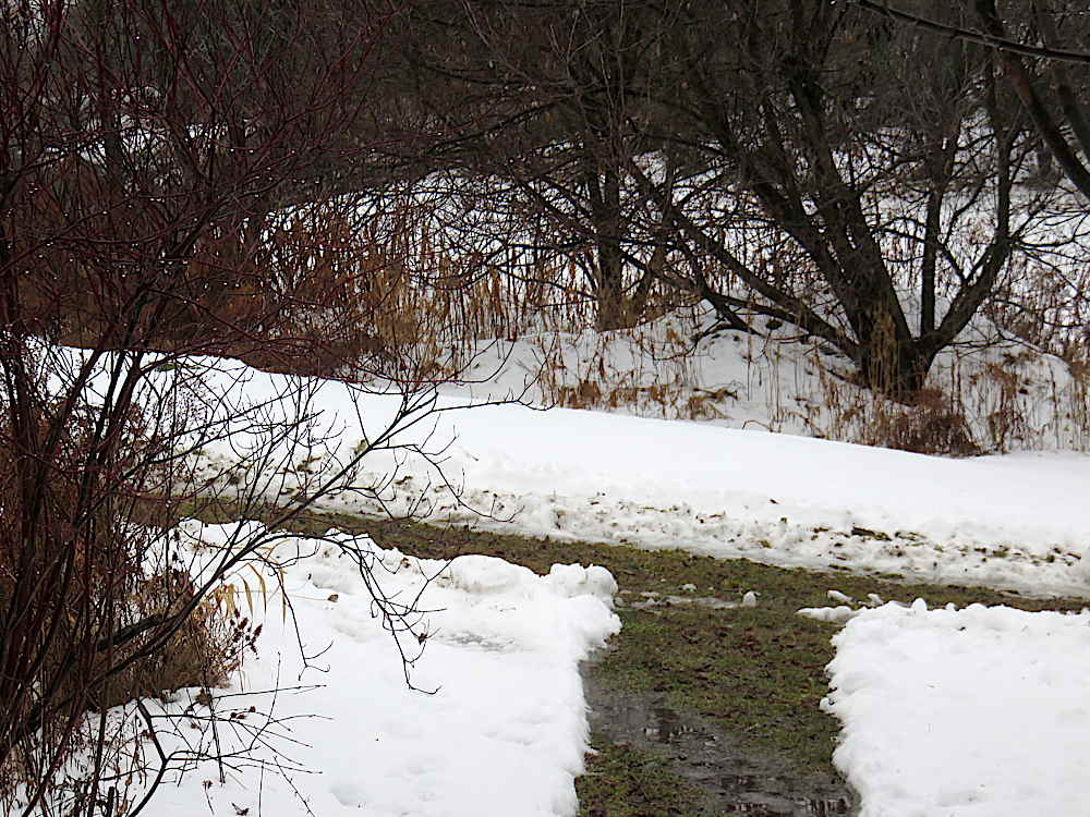 Snow survives a rainy day in December