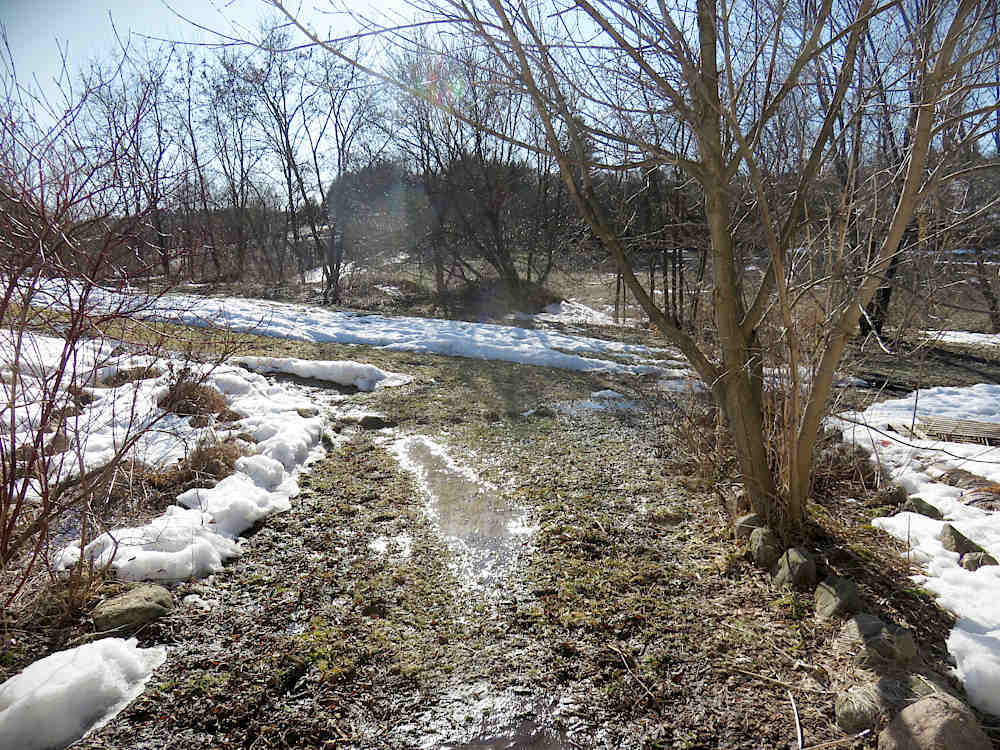 Warm snow-melting day in March