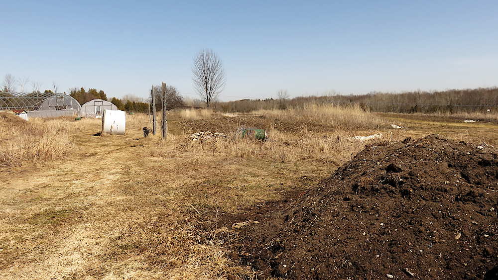 The field and greenhouses in March 2021.