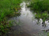 Standing puddle means water table still high
