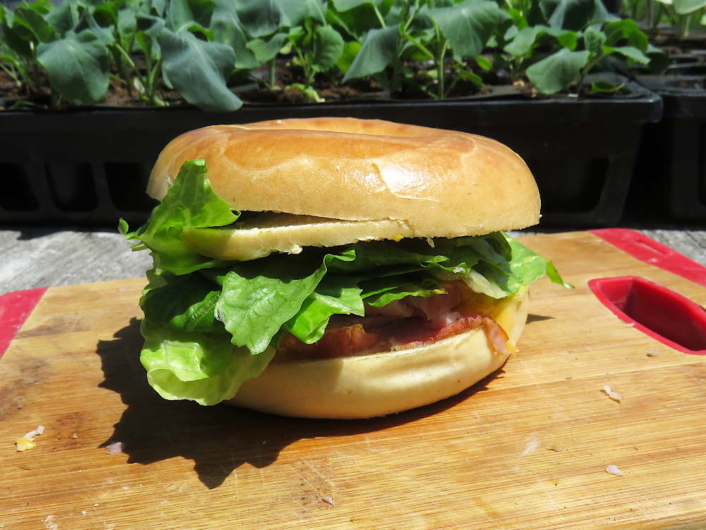 A supermarket sandwich