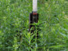 Rain gauge over 2" full
